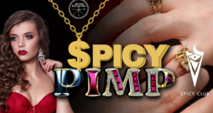 spicy-pimp-a-festa-de-todas-as-festas